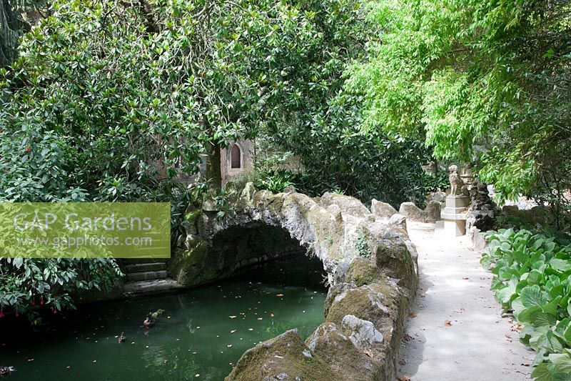  The Labyrinthic grotto.stone bridge over the still  water leading to the Balnearium Fountain. Magnolia grandiflora tree and Bergenias edging the path. Sintra, Portugal. 
