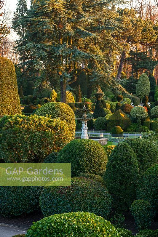 Formal topiary gardens at Brodsworth Hall, Yorkshire.

