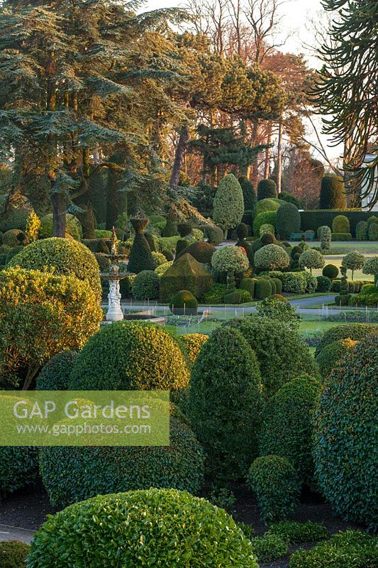 Formal topiary garden at Brodsworth Hall, Yorkshire.