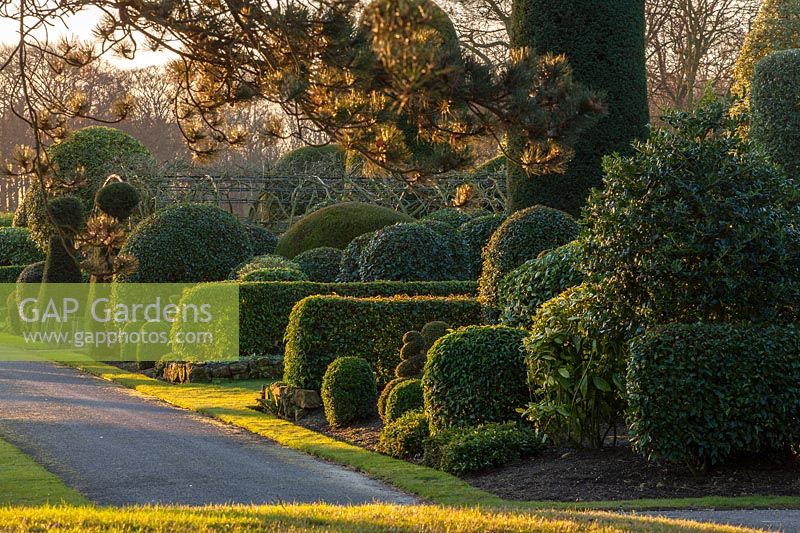 View of formal topiary garden at Brodsworth hall, Yorkshire.

