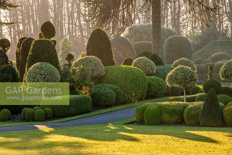 A view across the hedges and topiary of the formal gardens at Brodsworth Hall, Yorkshire. 

