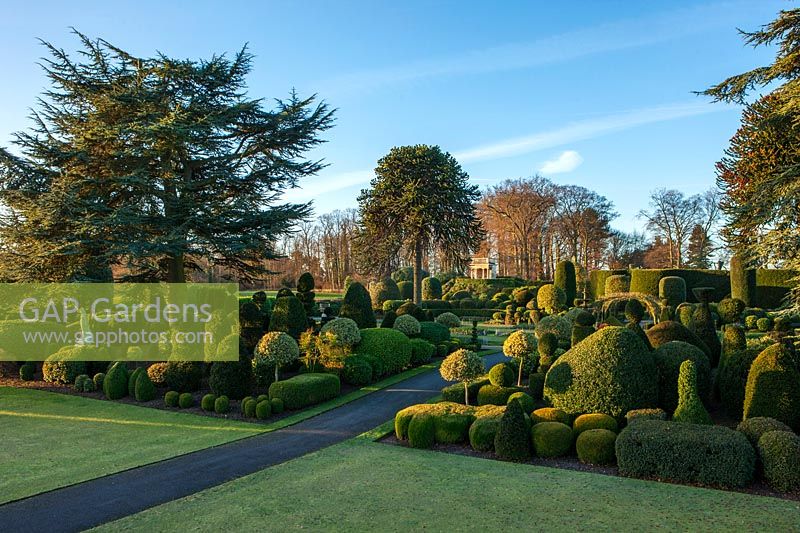 View of formal topiary garden at Brodsworth Hall, Yorkshire.
