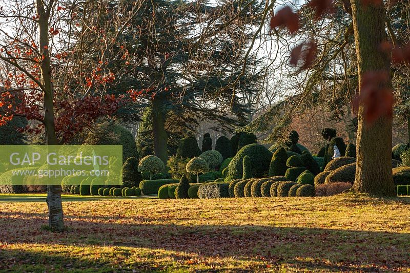 View of formal topiary garden and trees at Brodsworth hall, Yorkshire.

