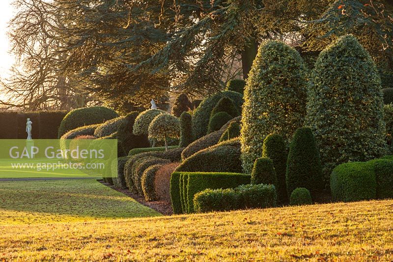 View of formal topiary garden and lawn at Brodsworth hall, Yorkshire.