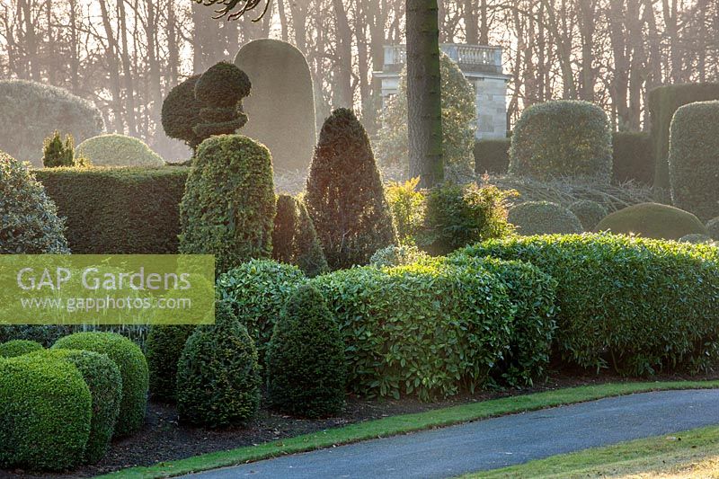An evergreen topiary border at Brodsworth Hall, Yorkshire.