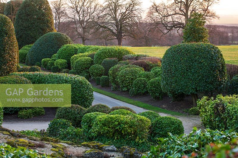 Evergreen topiary borders at Brodsworth Hall, Yorkshire.