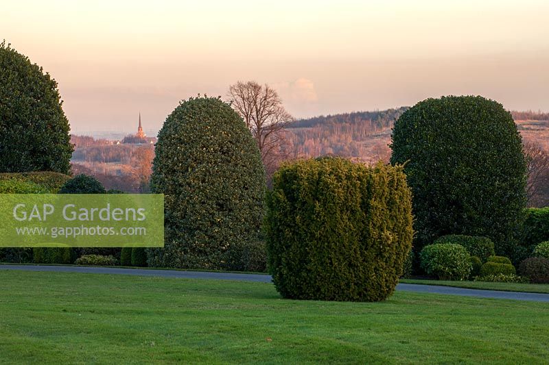 View across lawn to border of clipped evergreen topiary at Brodsworth Hall, Yorkshire. 
