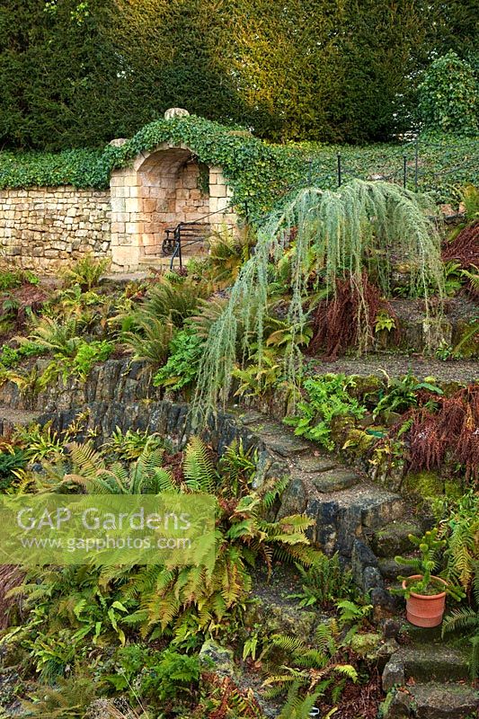 View of The Fern Dell at Brodsworth Hall, Yorkshire.