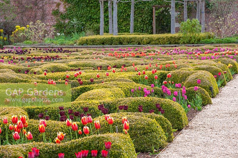 View of walled Parterre garden at Broughton Grange, Oxfordshire.
