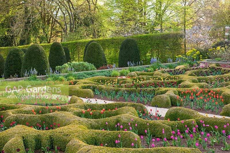 Overview of parterres and topiary garden at  Broughton Grange, Oxfordshire.