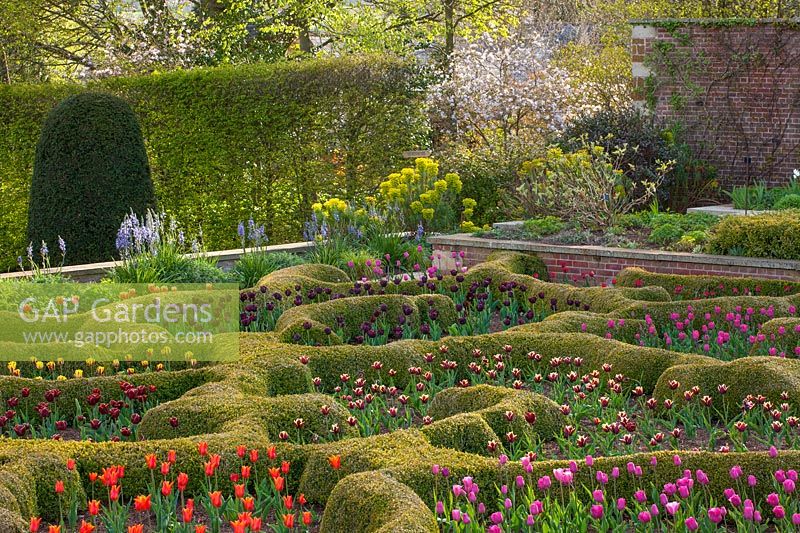  Walled parterre garden at Broughton Grange, Oxfordshire. 