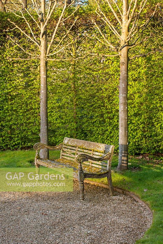 Wooden bench on gravel circle surrounded by trees and hedging at Broughton Grange, Oxfordshire. 