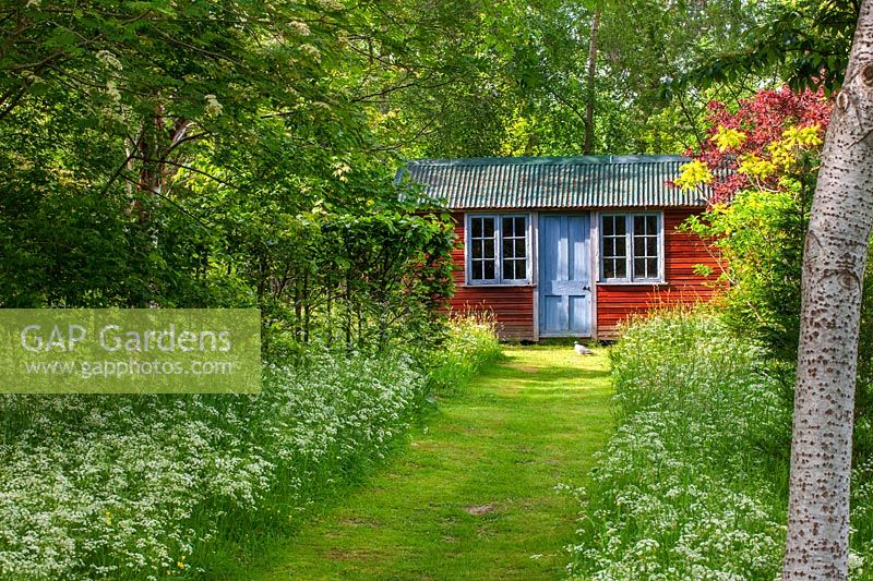 Summerhouse in wood with grass path and cow parsley, Herefordshire.