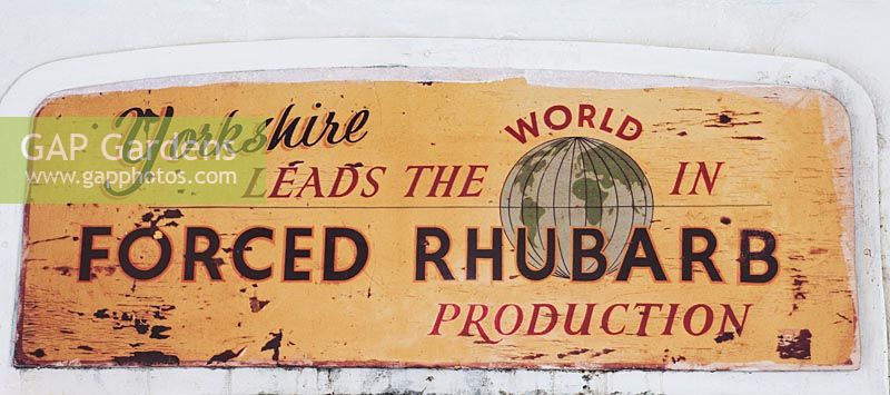 Wooden sign: Yorkshire leads the world in forced rhubarb production. 