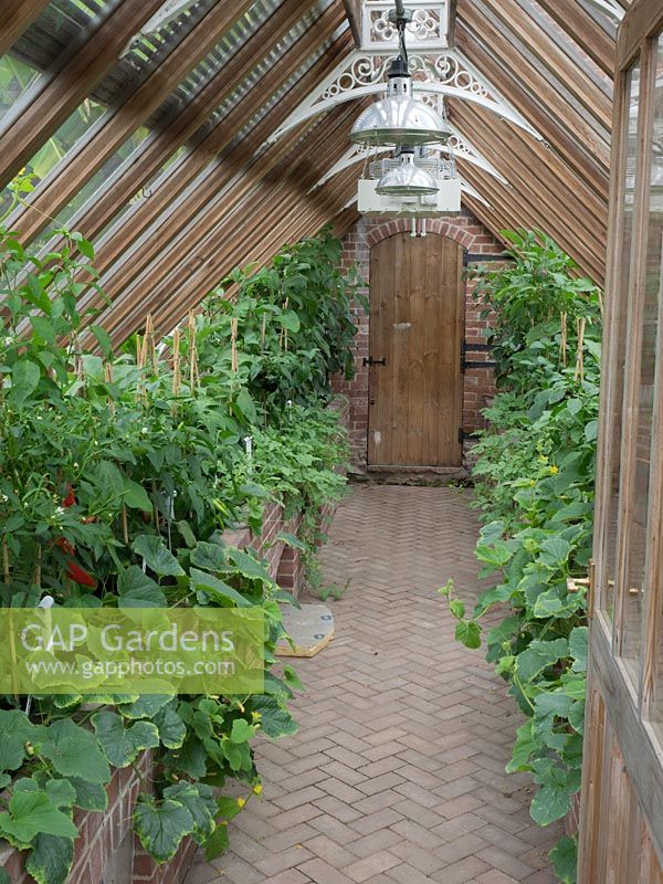 Greenhouse with brick raised beds, peppers, courgette, and chillie's. 