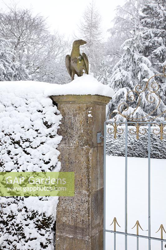 An eagle sculpture sits atop a snow-covered stone pillar. 

