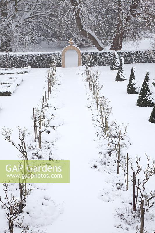 An view of formal garden in the snow, featuring a central walk with Rosa 'Iceberg', leading to stone archway. 

