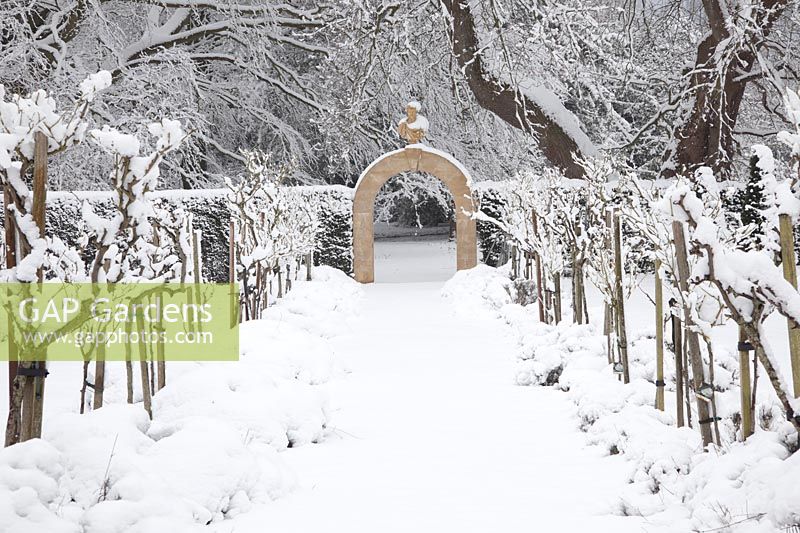 Snow-covered rose standards - Rosa 'Iceberg' - form a Rose Walk, leading to a stone archway with bust of Septimius Severus by Haddonstone.