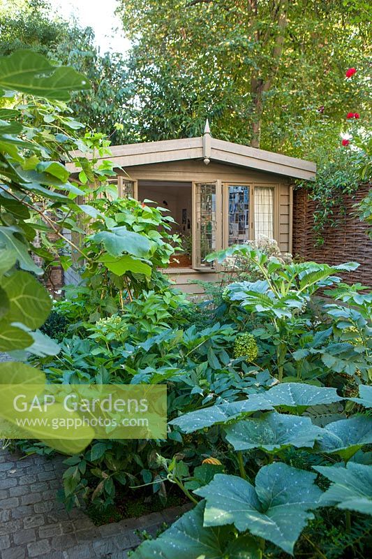Wooden garden studio.