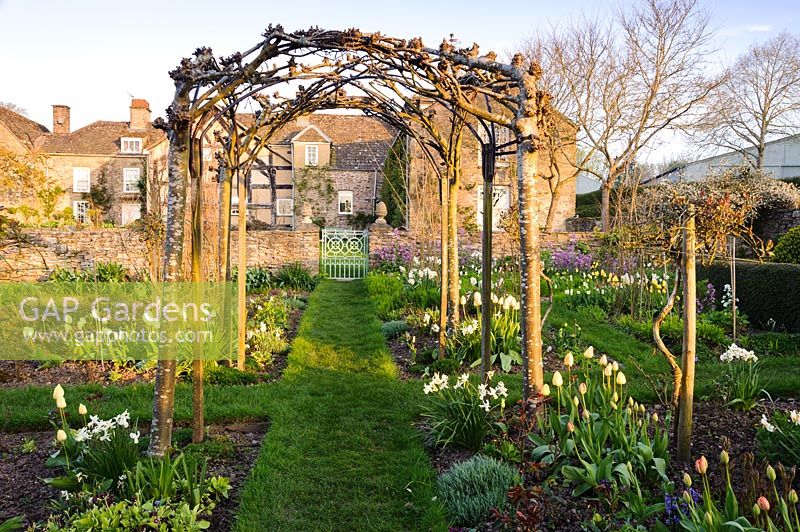 A view of a cutting garden with a grass path passing below trained whitebeams, Brilley Court Farm, Herefordshire, UK
