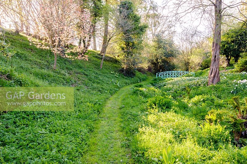 Grass path through valley garden, leading towards a blue painted bridge over the stream, Brilley Court Farm, Whitney-on-Wye, Herefordshire, UK.