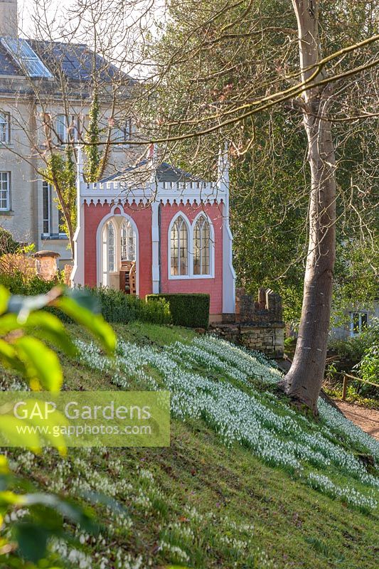 A summerhouse overlooking a bank of naturalised Galanthus - snowdrops. 
