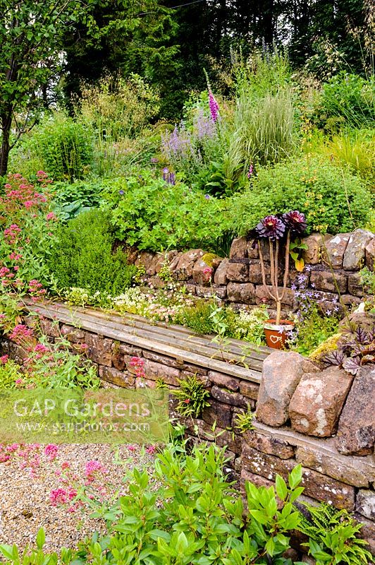 A recessed wooden bench set into a stone wall surrounded by self seeded Erigeron karvinskianus, campanula, sedum and Centranthus ruber, Church View, Appleby-in-Westmorland, Cumbria, UK.