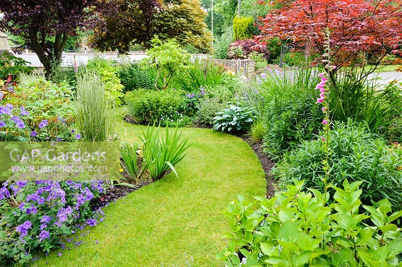 A winding grass path among curved summer borders at Church View, Appleby-in-Westmorland, Cumbria, UK.  