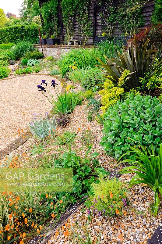 A view of a gravel garden border, planted with orange geums, sedums, phormiums and irises, Terstan, Stockbridge, Hants, UK. 