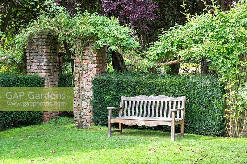 Wooden garden bench backed by Taxus baccata - Yew - hedge at Newby Hall and Gardens, Yorkshire. 