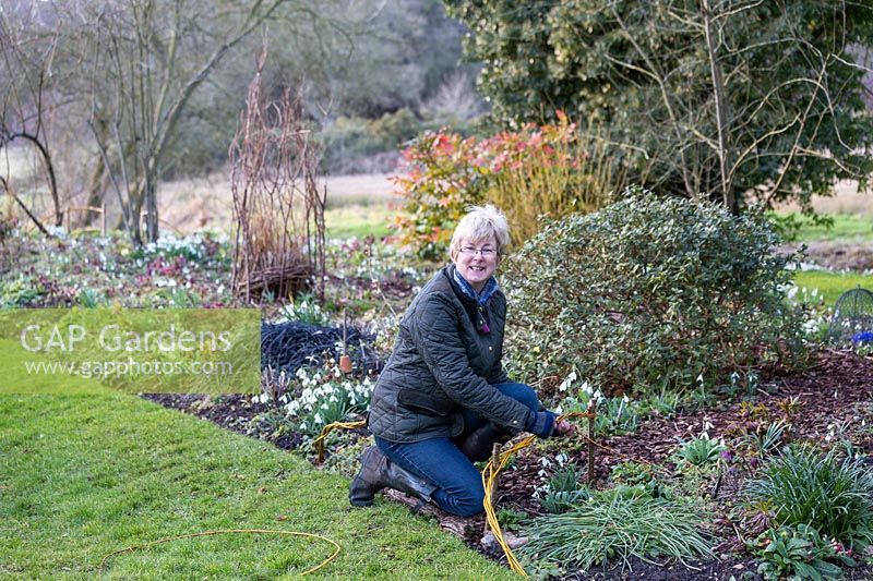Jane-Ann Walton adding a willow hurdle through a winter flowering border to create a bark pathway. 