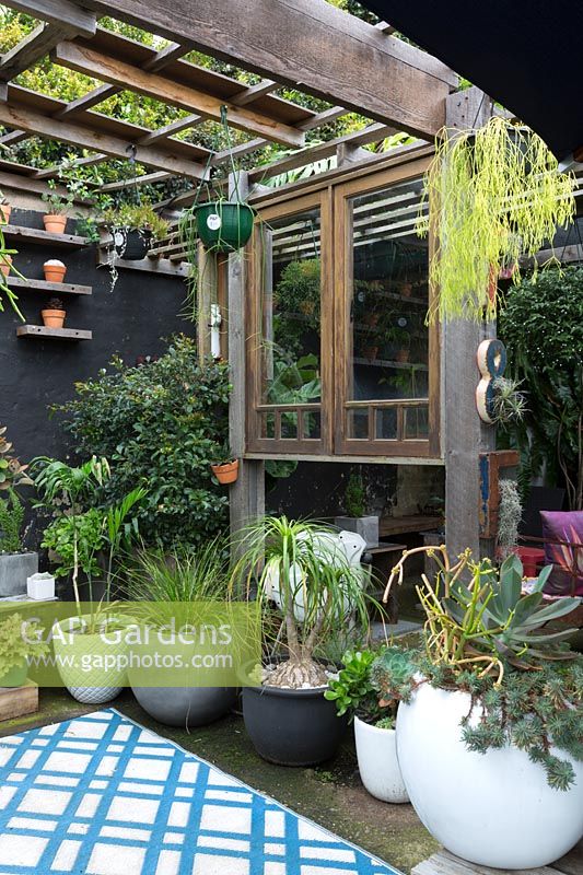 Pots planted with various plants under recycled timber pergola.  