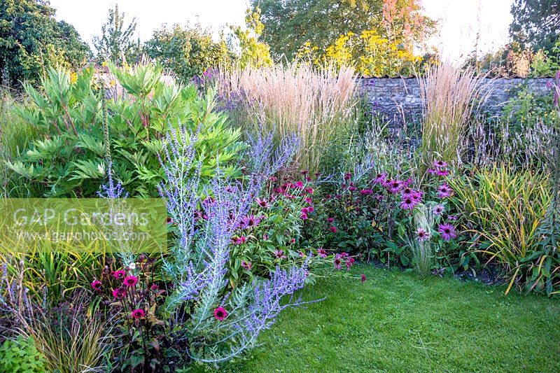 A view of an autumn flowering border.