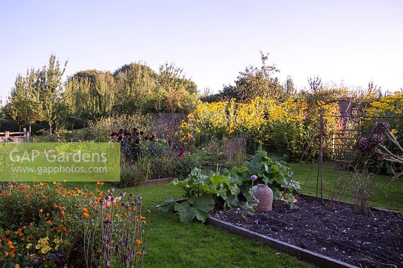 The kitchen garden at Manor Farm, Wiltshire. 