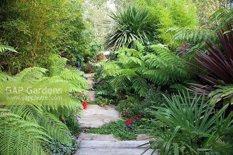 A view of a garden path surrounded by tropical-style planting. 

