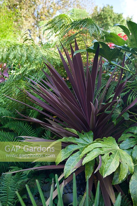 A combination of foliage planting, including Cordyline australis 'Red Star'. 