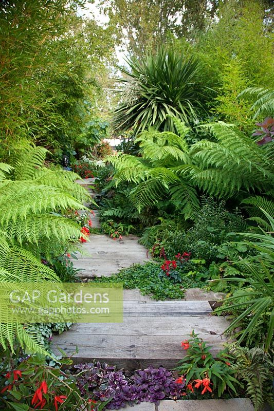 A view of a wooden garden path surrounded by tropical-style planting.

