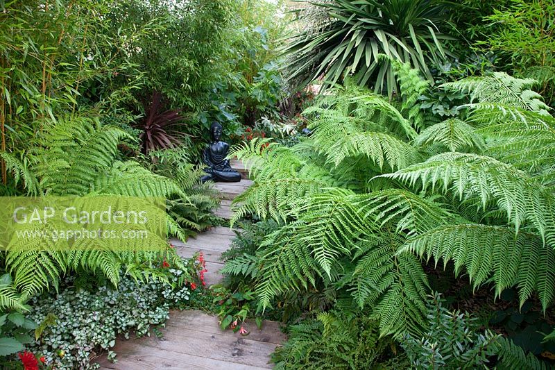 A view of a garden path surrounded by tropical-style planting.