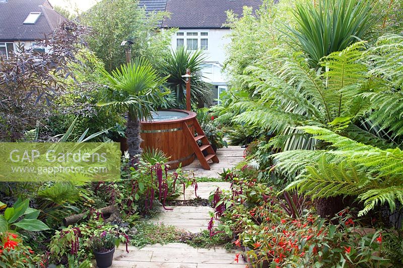 A view of an exotic back garden with foliage planting. 