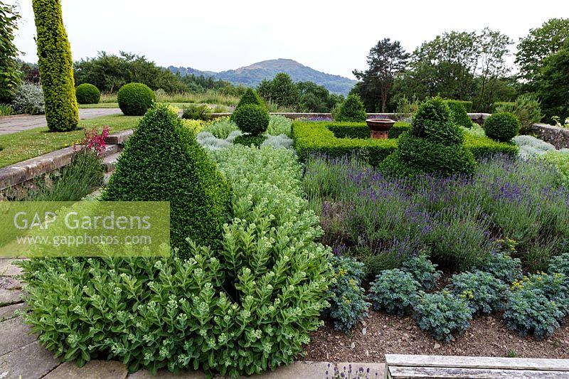 Topiary pyramids looking across the paved sunken garden, Arts and Crafts Garden, Perrycroft Garden, The Malverns, Herefordshire.  