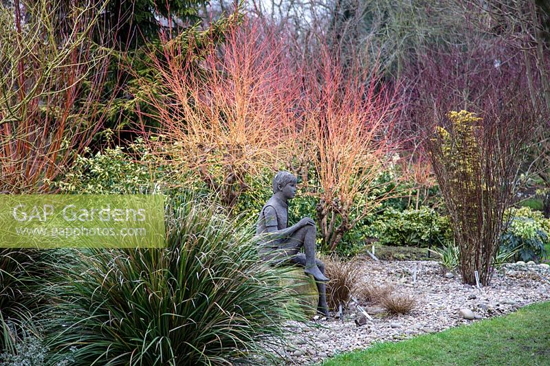 Sculpture with cornus stems in winter garden, Kingswinford.