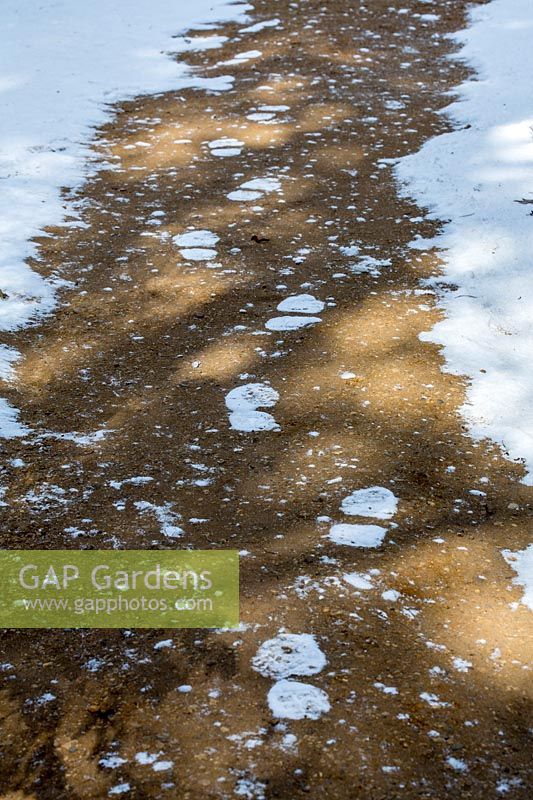 Snowy footprints on garden path