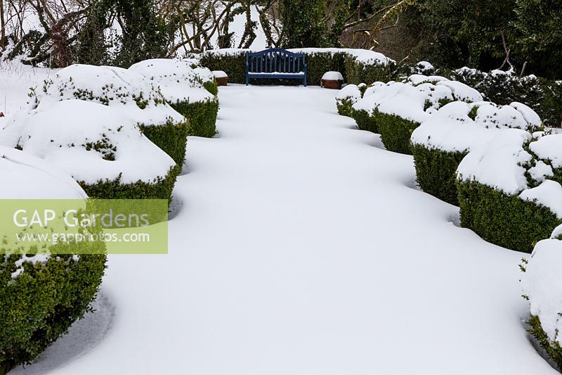 Avenue of Box 'eggcups' in the vegetable garden with view to the seat. Garden in snow
