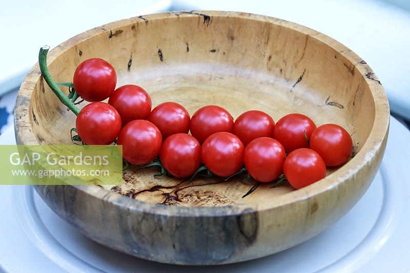 Solanum lycopersicum var. cerasiforme - cherry vine tomatoes - Piccolo - in hand carved wooden bowl