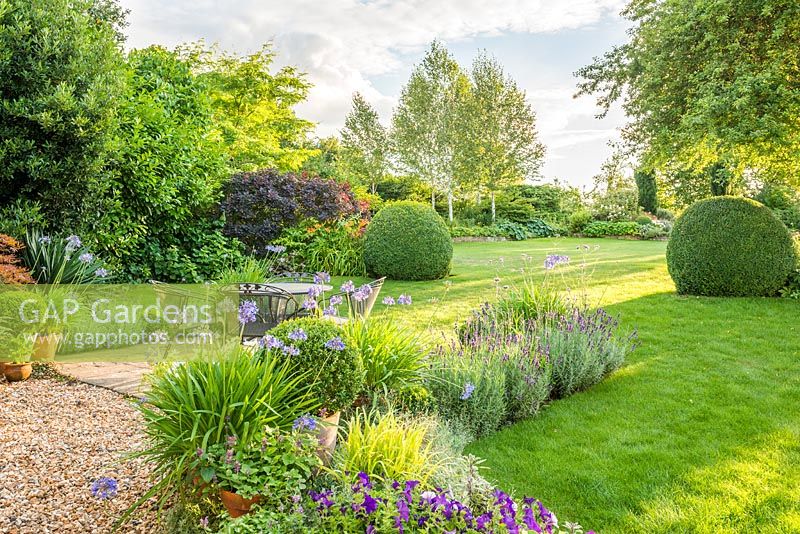 View of country garden with large Buxus globes.