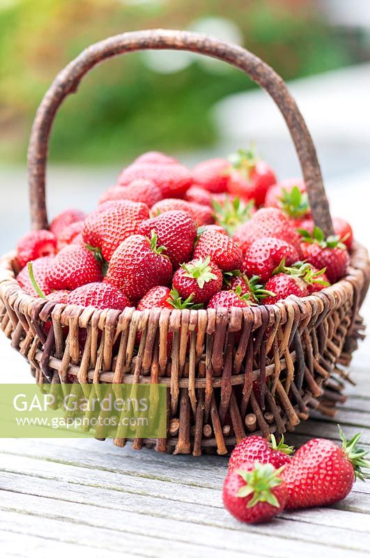 A basket of strawberries. 