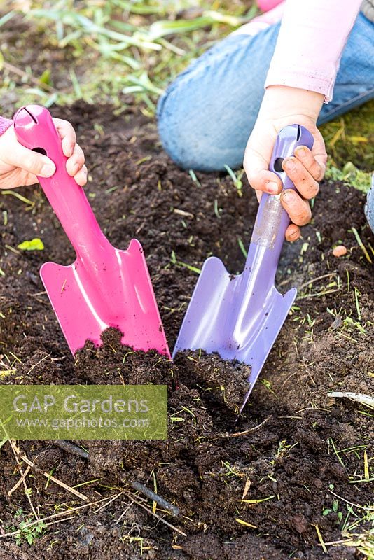 Children digging with colourful gardening trowels.