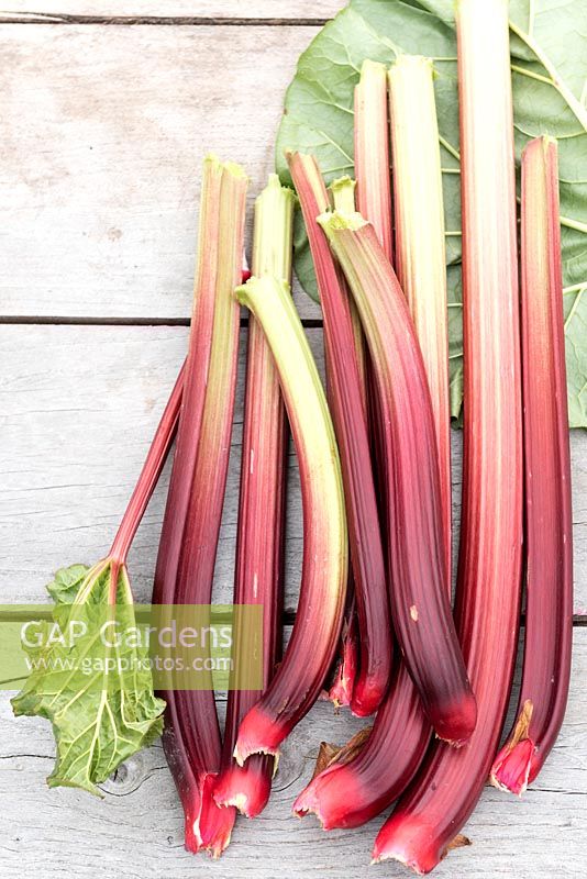Rhubarb on wooden table.