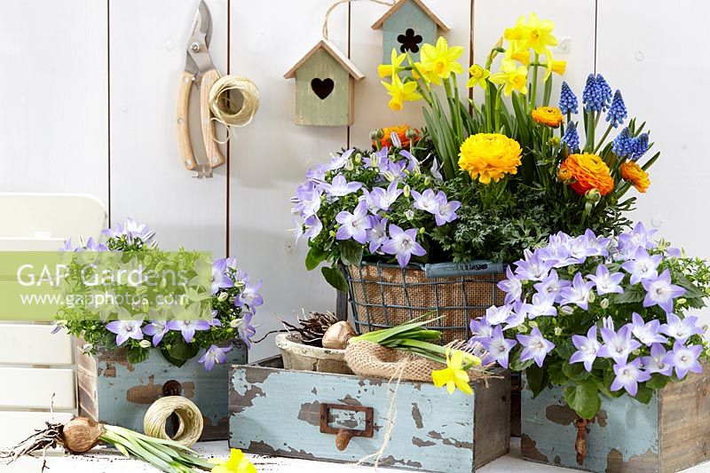 An indoor spring arrangement with flowering containers and wooden accessories 