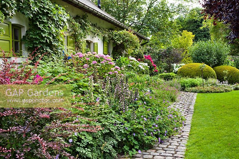 Herbaceous border and  house. 